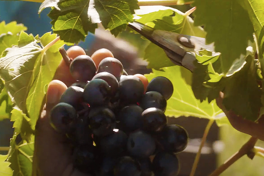 “C’è tutto un mondo intorno” a Tavernello.