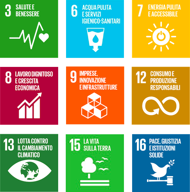 9 riquadri rappresentanti i sustainable development goal